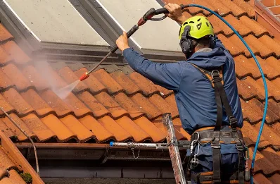 Démoussage et hydrofuge de toiture à Meisenthal